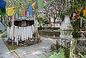 Kangra Valley - Norbulingka Institute - the garden 